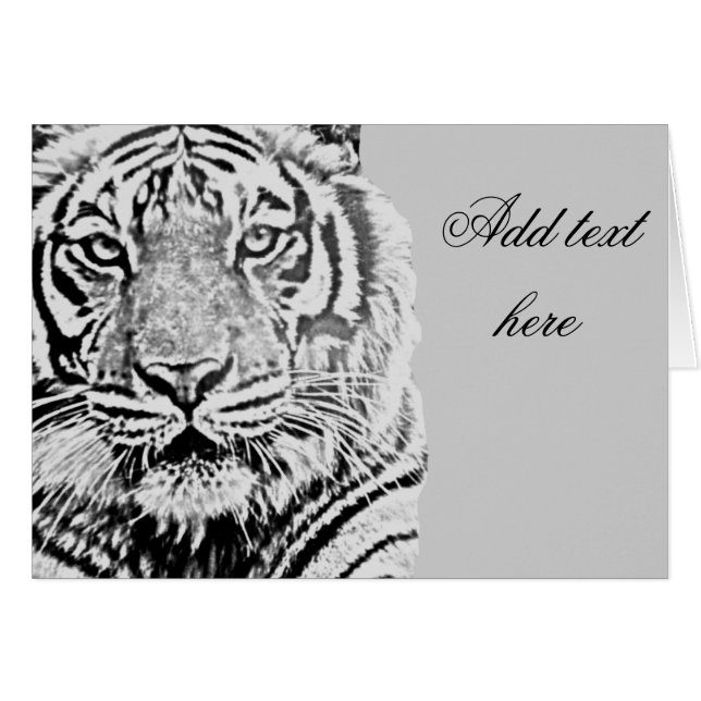 Tigerstärke_ (Vorderseite (Horizontal))