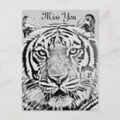 Tigerstärke_ Postkarte (Vorderseite)