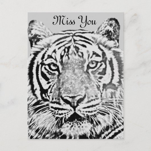 Tigerstärke_ Postkarte (Vorderseite)