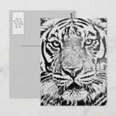Tigerstärke_ Postkarte (Vorne/Hinten)