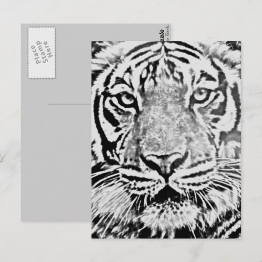 Tigerstärke_ Postkarte (Vorne/Hinten)