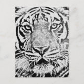 Tigerstärke_ Postkarte (Vorderseite)