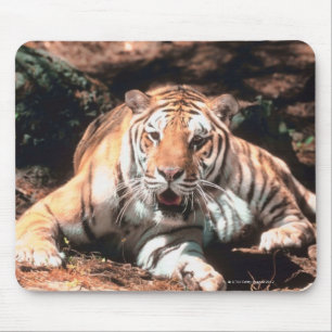 Tigerstillstehen Mousepad