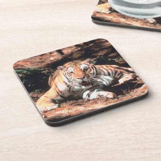 Tigerstillstehen Untersetzer (Linke Seite)