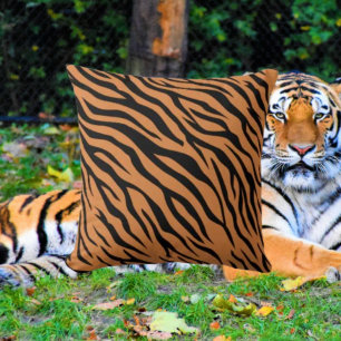 Tigerstreifen Kissen