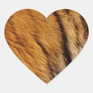 Tigerstreifen mit Fotos, die von den Großen Katzen Herz-Aufkleber