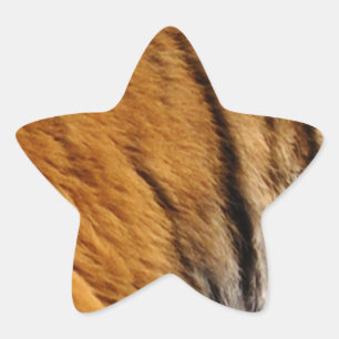 Tigerstreifen mit Fotos, die von den Großen Katzen Stern-Aufkleber