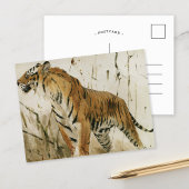 Tigerstudie | Wilhelm Kuhnert Postkarte