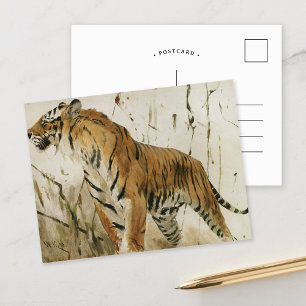 Tigerstudie   Wilhelm Kuhnert Postkarte