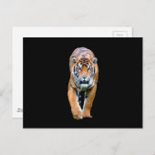 Tigertier Postkarte (Vorne/Hinten)