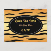 Tigertierstreifen Ankündigungspostkarte (Vorderseite)