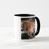 Tigerüberfahrtstrom Tasse (VorderseiteRechts)
