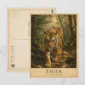 Tigerwälder Indiens VINTAGE Postkarte (Vorne/Hinten)