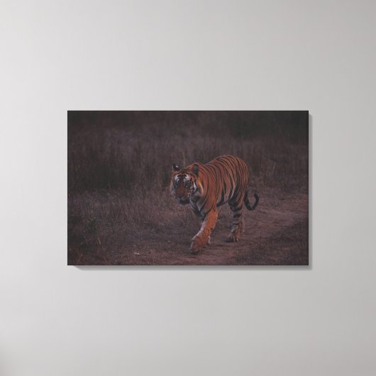 Tigerwanderungen auf dem Weg Leinwanddruck (Vorderseite)