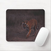Tigerwanderungen auf dem Weg Mousepad (Mit Mouse)