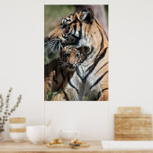 Tigerwürfel Poster (Küche)