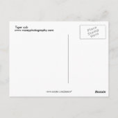 Tigerwürfel Postkarte (Rückseite)