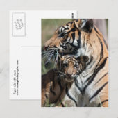 Tigerwürfel Postkarte (Vorne/Hinten)