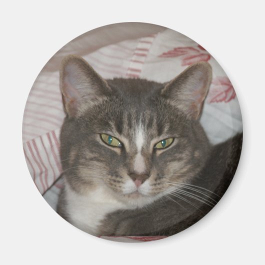 Tigger Magnet (Vorne)