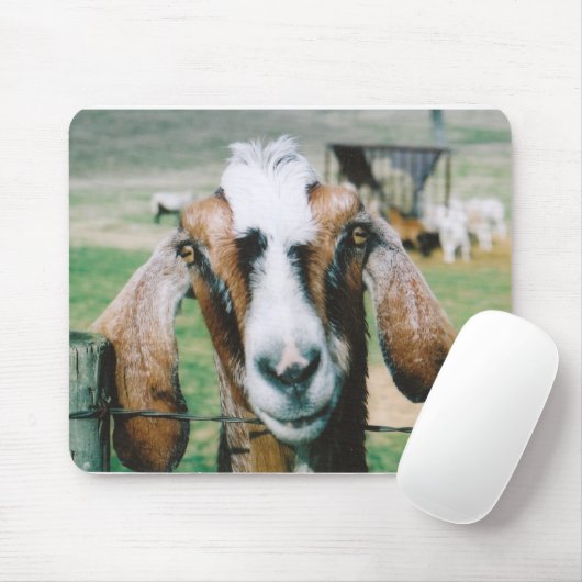 tigger mousepad (Mit Mouse)