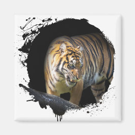 Tigre Animal Vie Sauvage Jungle Nature Liberté Magnet