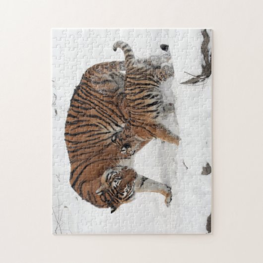 Tigress and Cube im Schnee Puzzle (Vertikal)