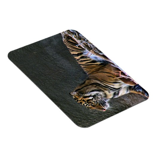 Tigress Magnet (Rechte Seite)
