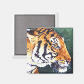 Tigress Magnet (Vorderseite/Rückseite)