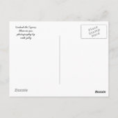 Tigress Postkarte (Rückseite)