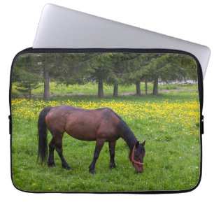 Tihuta-Pass, Pferd auf der Weide Laptopschutzhülle