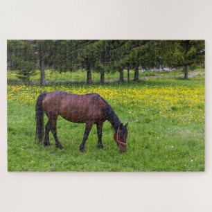 Tihuta-Pass, Pferd auf der Weide Puzzle