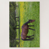 Tihuta-Pass, Pferd auf der Weide Puzzle (Vertikal)