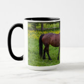 Tihuta Pass, Pferd in der Natur Tasse (Links)