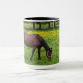 Tihuta Pass, Pferd in der Natur Tasse (Zentrum)