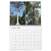 Tikal Guatemala Kalender Tikal Ruinen (Jan 2027)