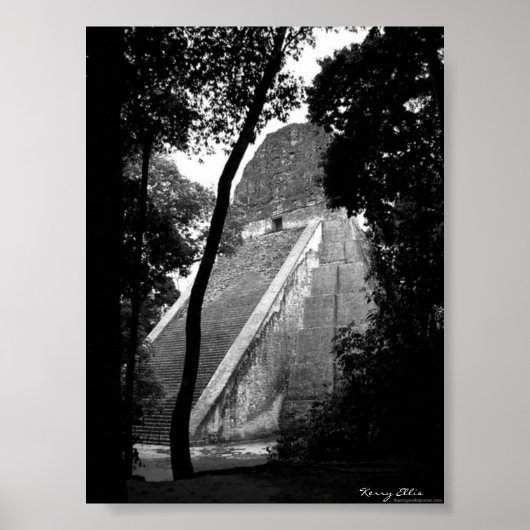 Tikal Poster (Vorne)