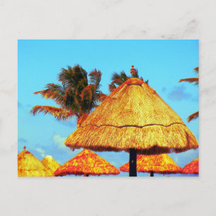 ~Tiki Huts~ POSTCARD Postkarte