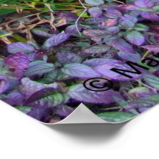 Tiki im Garten Poster (Ecke)