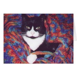 "Tiki in Dougs Afghanisch"