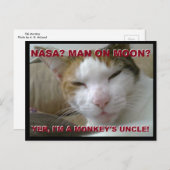 Tiki Monkey Postcard - FLat Earth Meme Postkarte (Vorne/Hinten)