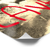 TIKIS UND LAVA ROCKS GROSSE INSEL, HAWAII POSTER (Ecke)