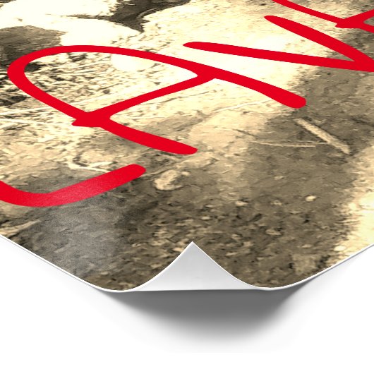 TIKIS UND LAVA ROCKS GROSSE INSEL, HAWAII POSTER (Ecke)