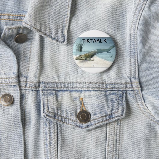Tiktaalik Button (Beispiel)
