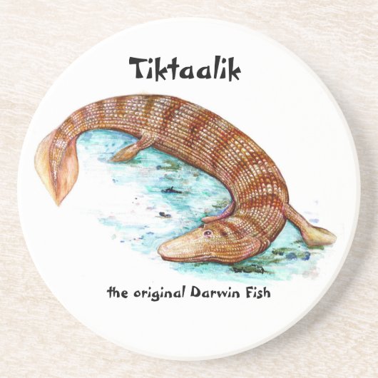 Tiktaalik Untersetzer (Vorne)