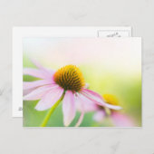 Til Sunbeams Find You Postkarte (Vorne/Hinten)