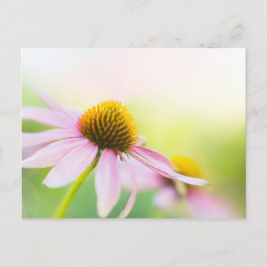 Til Sunbeams Find You Postkarte (Vorderseite)