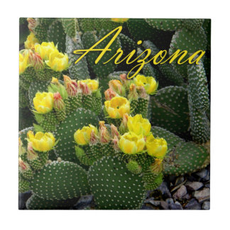 Tile, Arizona Prickly Pear Cactus Foto Fliese