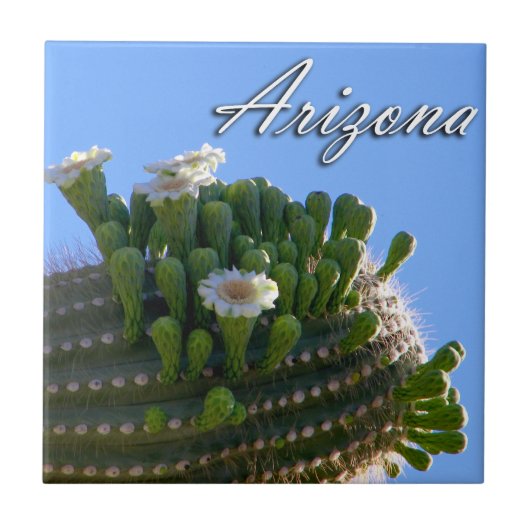 Tile, Arizona Saguaro Cactus Foto Fliese (Vorderseite)