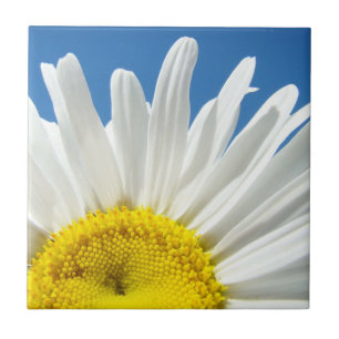 Tile Art White Daisy Blume Blue Sky Natur Fliese