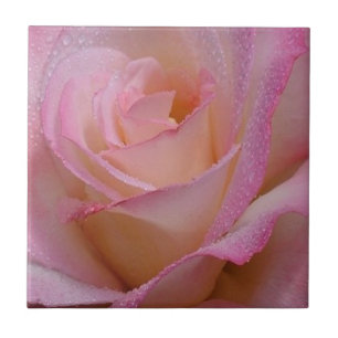 Tile Beautiful Pink Rose Fliese